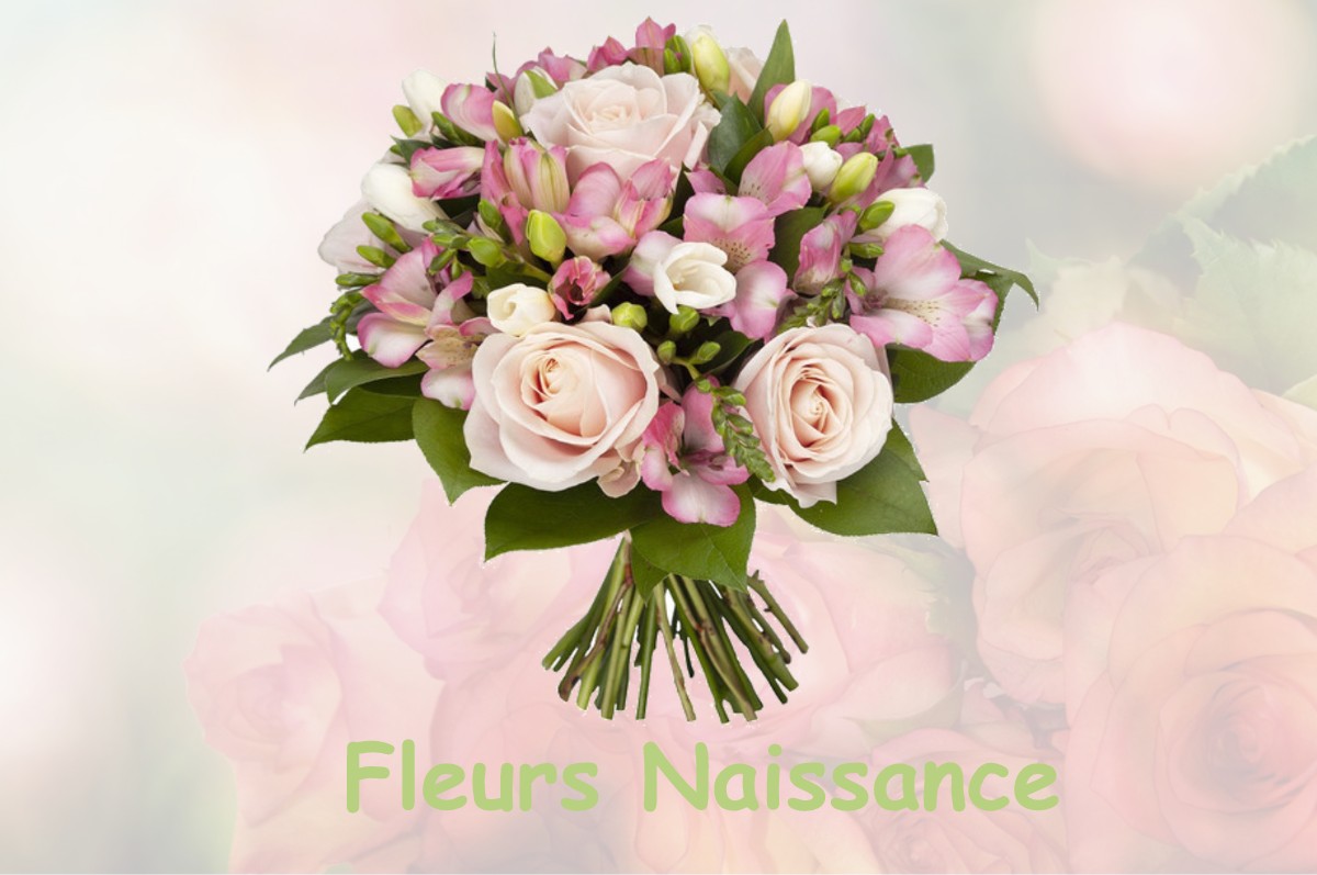 fleurs naissance FONTAINE-LES-LUXEUIL