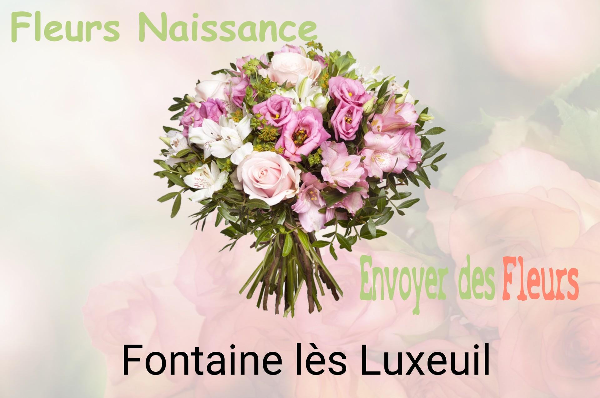 Bouquet de fleurs de naissance livré à Fontaine-lès-Luxeuil